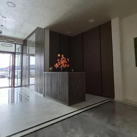 公寓 Comfortable Two-bedroom Near The Center